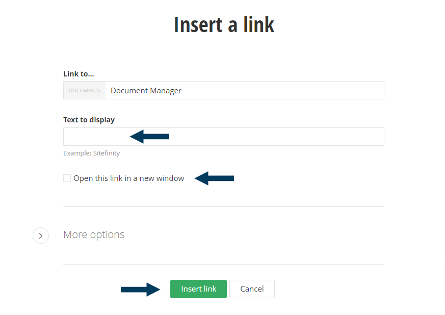 Insert a Link - Display Text and Window