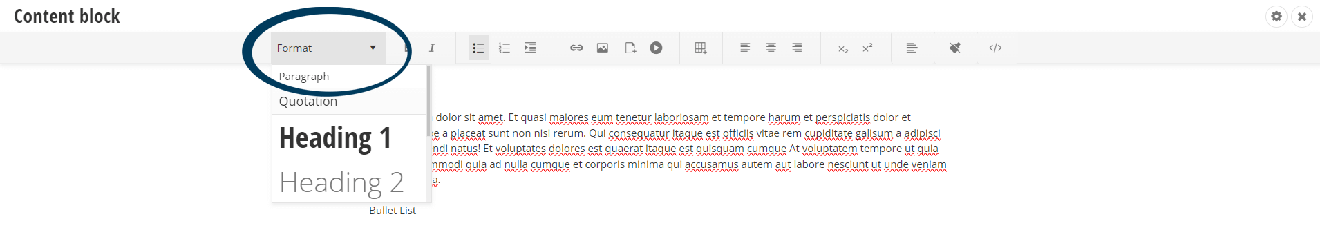 Basic Formatting - Text Format