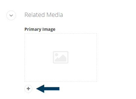 Related Media