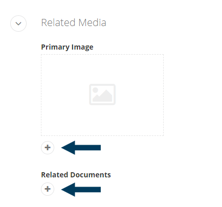 Related Media