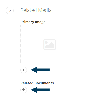 Related Media