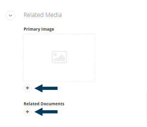 Related Media