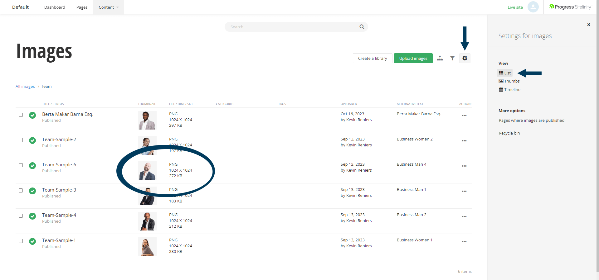 Image List View