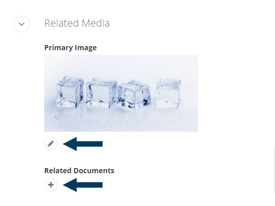 Check and Edit Related Media