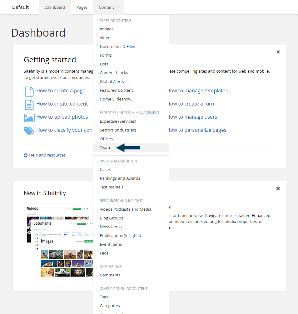 Dashboard - Content - Team