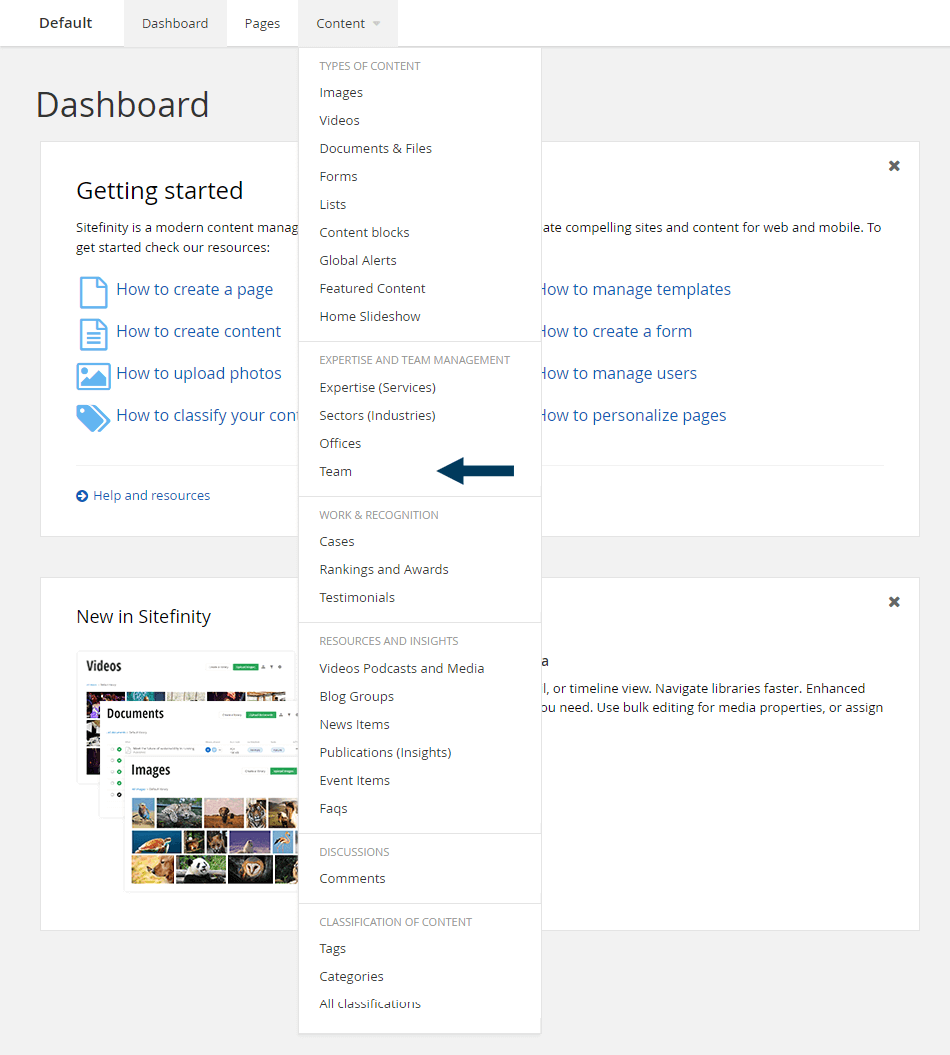 Dashboard - Content - Team