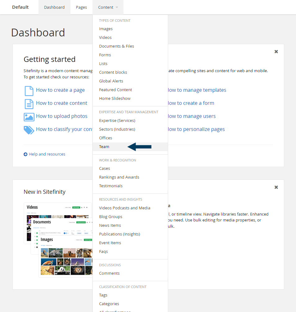 Dashboard - Content - Team