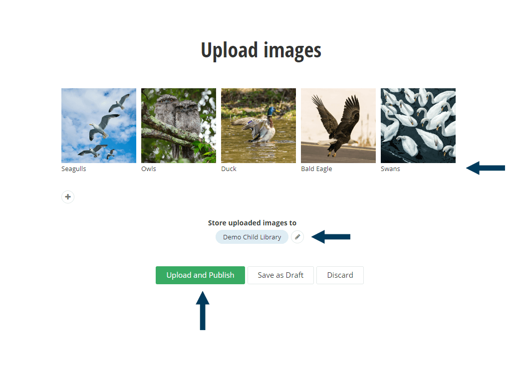 Confirm Images and Library and then Upload