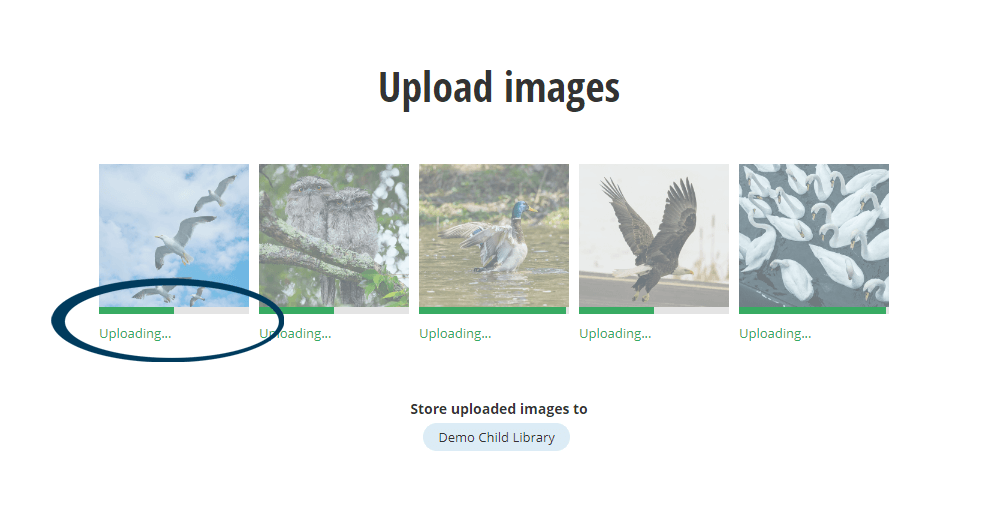 Upload Progress