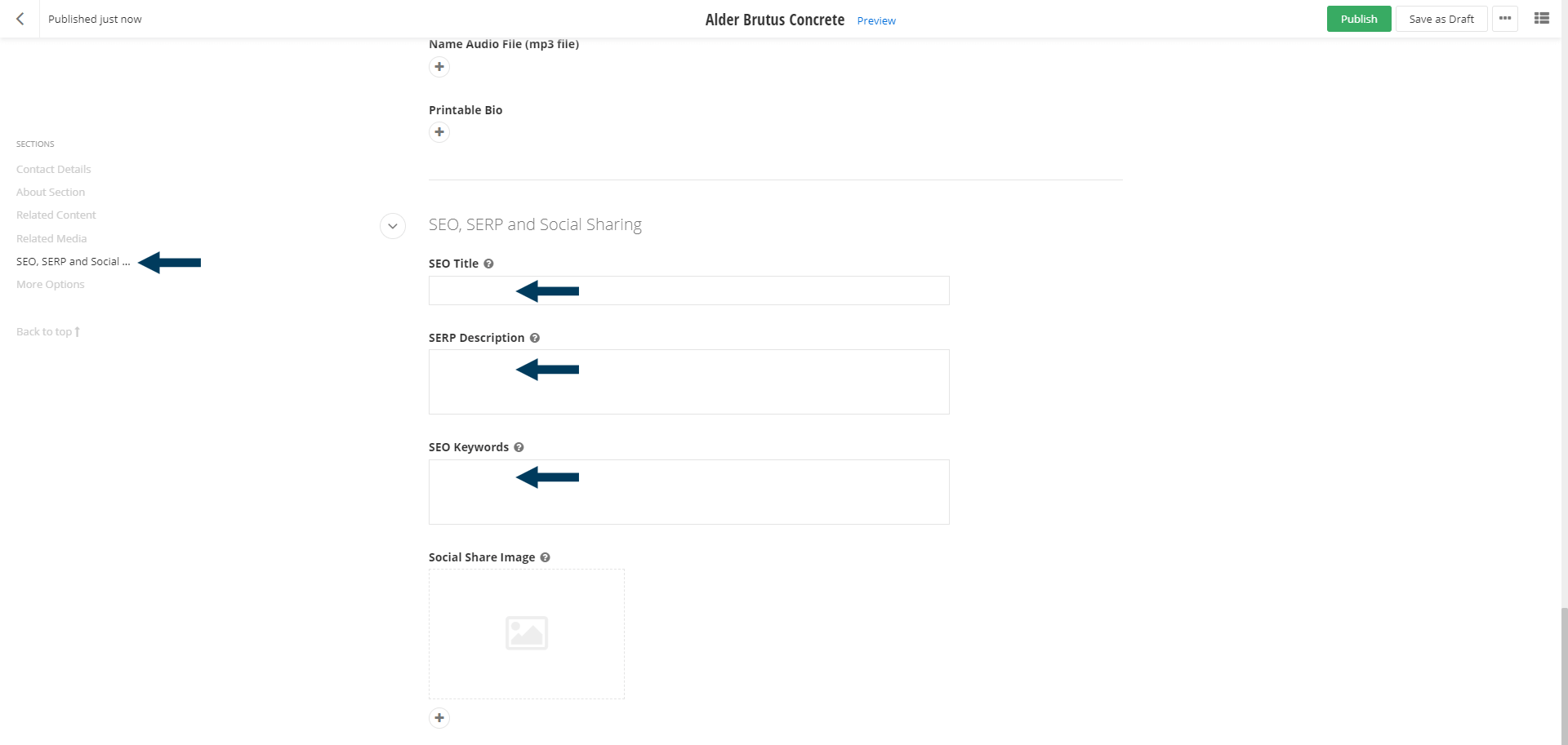 Edit SEO form fields