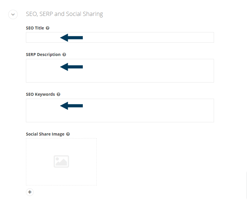 SEO Titles and Fields
