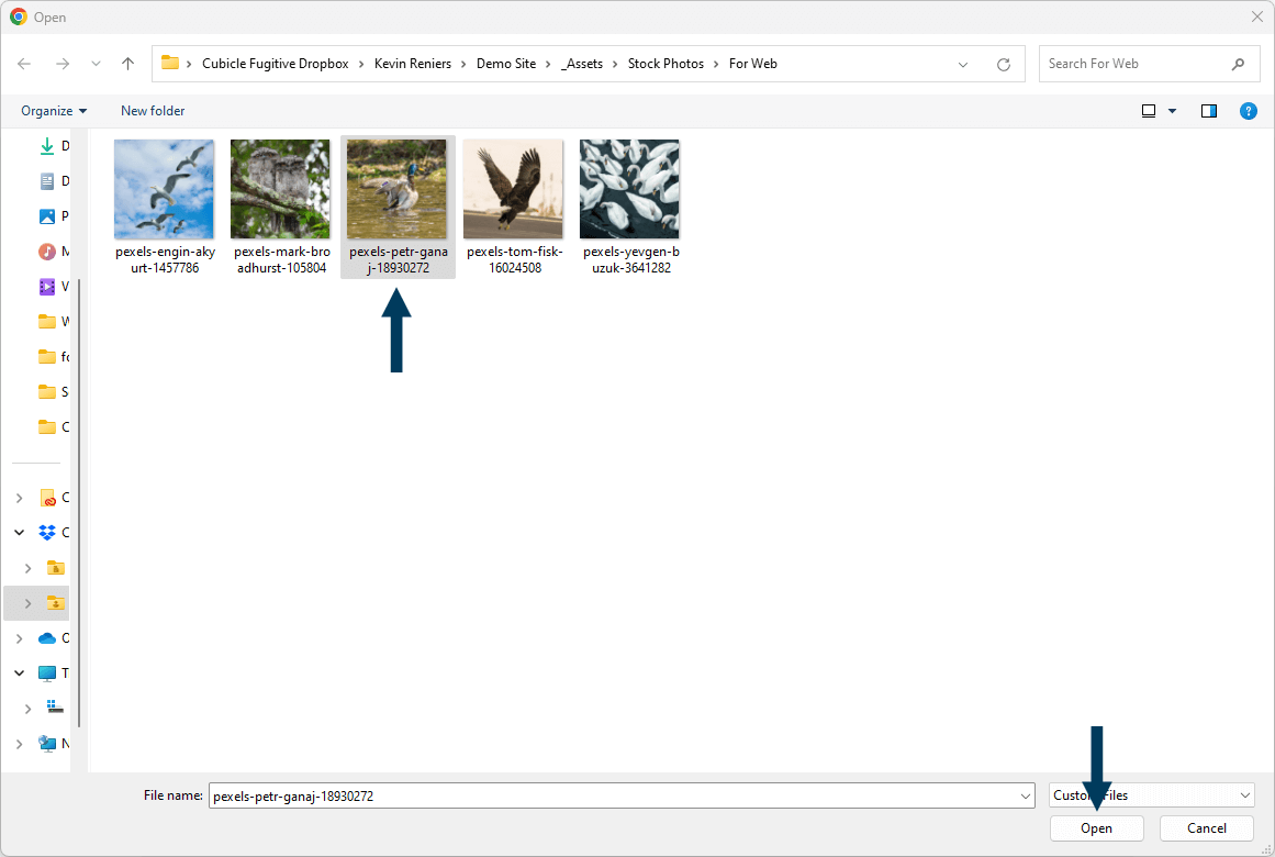 Select File to Upload
