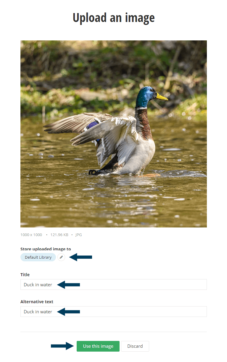 Image Properties
