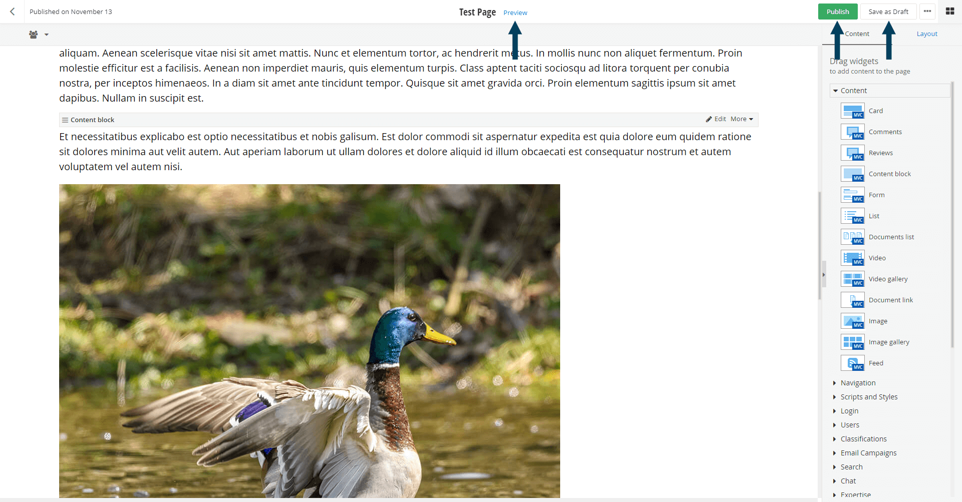Save the Page