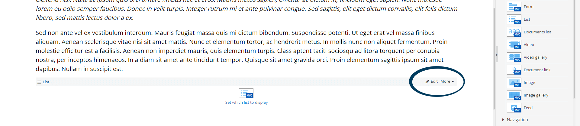List Widget - Edit