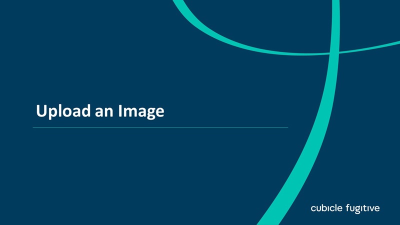 Upload an Image
